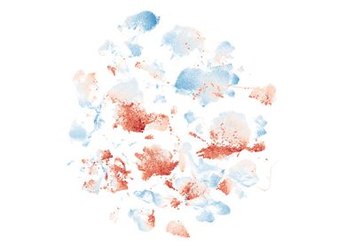 A UMAP projection of a large transcriptomics dataset.