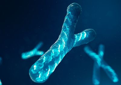 The illustration shows floating chromosomes with a Y-shaped chromosome in the foreground.