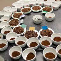 different varieties of ground and unground coffee beans in bowls and plates on a table