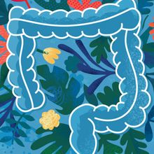 Conceptual illustration of a happy gut with colorful flowers on a blue background.