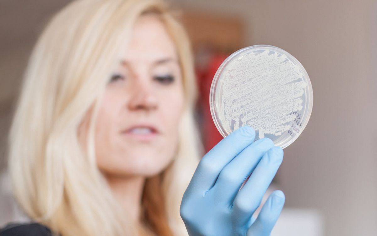 Image of microbiologist Anne Madden holding up a Petri dish with a gloved hand.