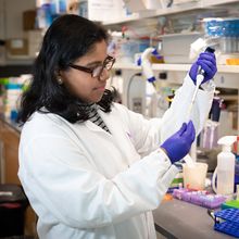 Scientist pipetting at the bench in white coat and purple gloves