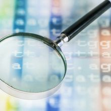 Magnifying glass over a DNA sequence