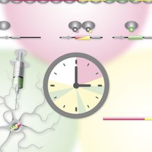 Diagram tracking changes in gene expression