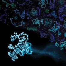 Collection of green and blue proteins with different conformations on a black background.