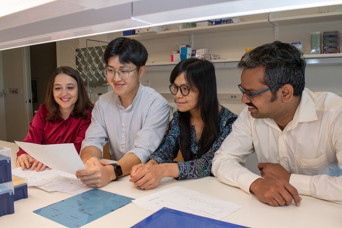 Gerta Hoxhaj, Dohun Kim, Diem Tran, and Rushendhiran Kesavan are sitting at a laboratory table and looking at a document together.