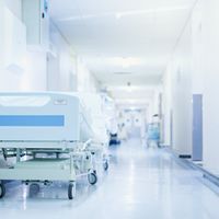 A hospital corridor with empty gurney