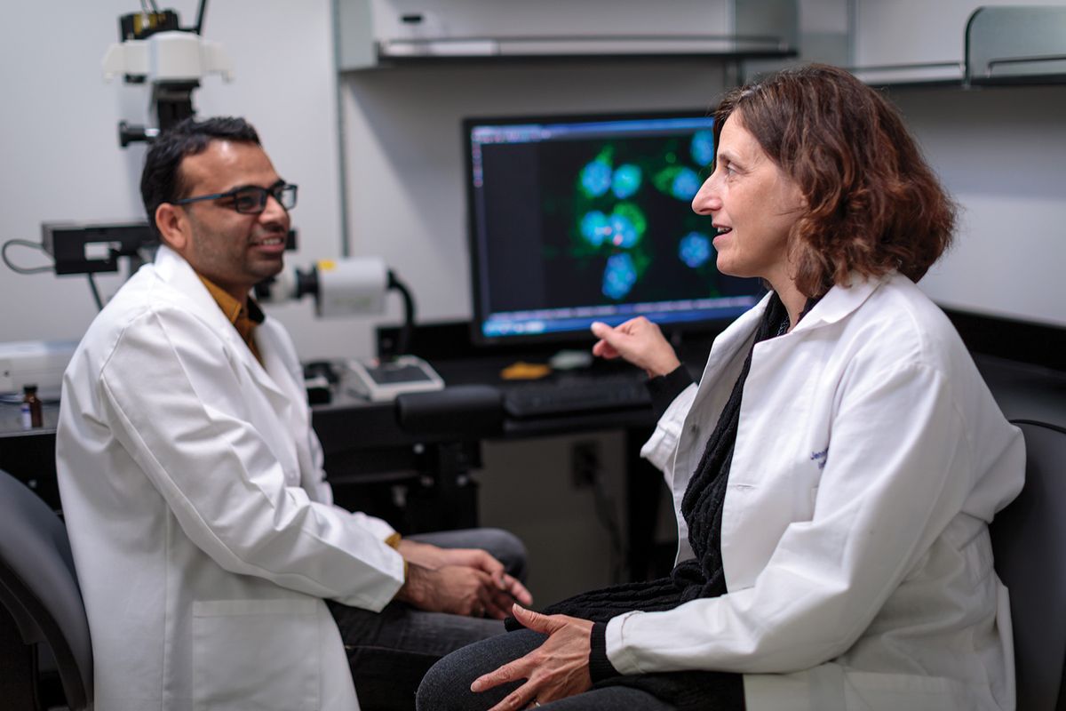 Jennifer Philips, an infectious disease researcher and physician at Washington University in St. Louis, investigates Mycobacterium tuberculosis. She and Ekansh Mittal, an instructor in the same institution, wear laboratory coats and are seated. An image of bacterial cells can be seen in a computer screen on the background.