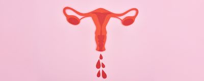 Top view of a red paper cutout of female reproductive internal organs with blood drops on pink background.