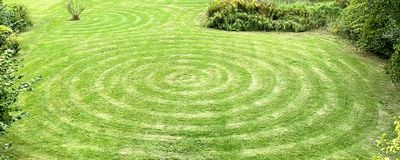 Image of concentric circles cut into a grass lawn.