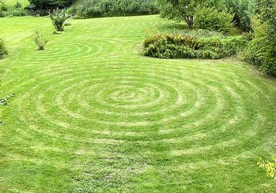 Image of concentric circles cut into a grass lawn.