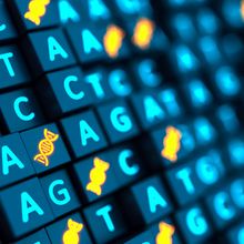 3D cubes showing letters representing the four DNA bases (adenine, guanine, cytosine, and thymine) and small DNA helices.