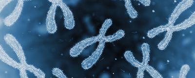 Several X-shaped duplicated chromosomes floating on a blurry blue background.