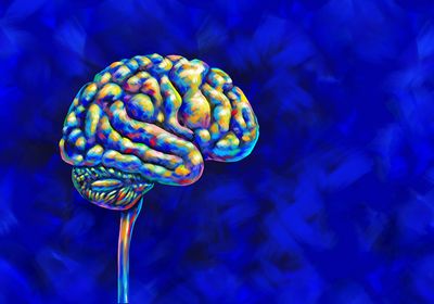 Multicolored brain against a blue background.