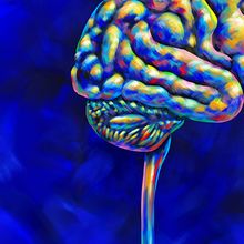 Multicolored brain against a blue background.