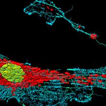 Image of fibroblast cell with nuclei (yellow), mitochondria (red)<br >, and microfilaments (blue).