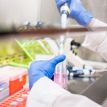 Scientist working in a biosafety cabinet