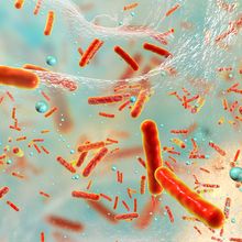 Antibiotic resistant bacteria inside a biofilm, 3D illustration. Biofilm is a community of bacteria where they aquire antibiotic resistance and communicate with each other by quorum sensing molecules