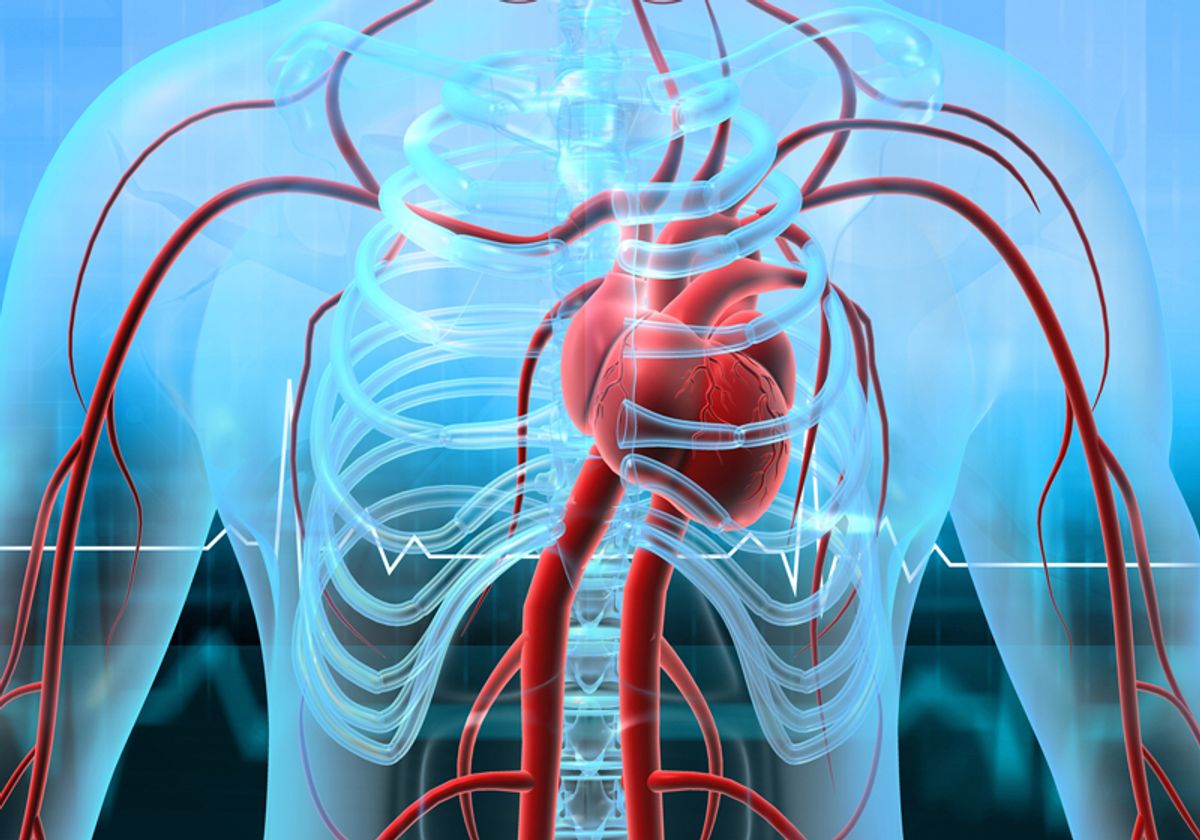 An interior view of a human upper body, showing the heart, ribcage, and blood vessels.