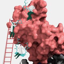 A conceptual illustration of scientists evaluating potential kinase inhibitors.