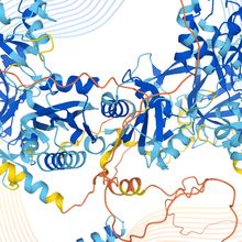 Ribbon Protein Structure