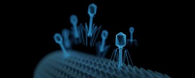 3D rendered illustration of bacteriophages.