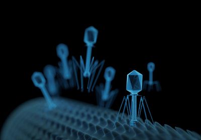 3D rendered illustration of bacteriophages.