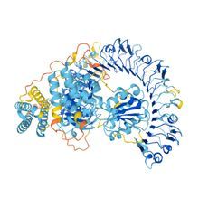 Q8W3K0, listed in the DeepMind database as a potential plant disease resistance protein from Arabidopsis thaliana