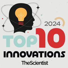 2024 Top 10 Innovations logo with a cartoon of a head with a super-imposed light blub