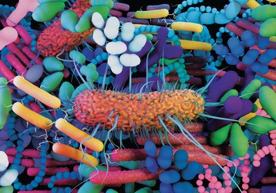 The human Microbiome, the genetic material of all the microbes that live on and inside the human body.