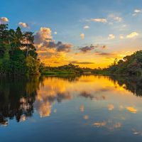 a sunset reflected in a still river through a rainforest