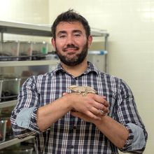 Thomas Lozito poses with Donald, one of his mourning geckos. 