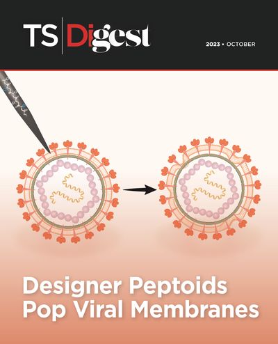 Illustration of viruses with needle puncturing membrane