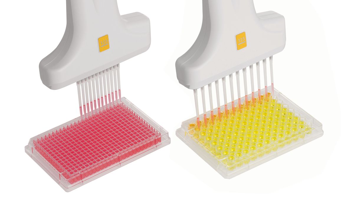 A photo of two VOYAGER pipettes transferring samples into a 96-well and 384-well microplate. 