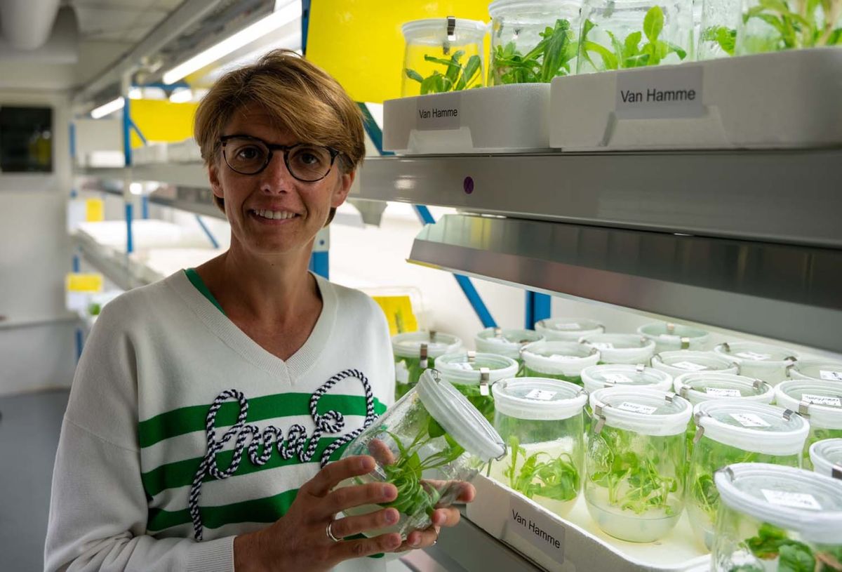 Image of Katrijn Van Laere holding a chicory plant.