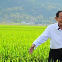 Yuan Longping standing out in a rice field