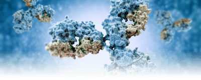 3D conceptual image of antibodies on a blue background.