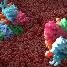 Detect Protein Structural Changes with MMS