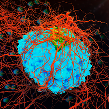 Spatial Profiling Immune Cells in Tumors