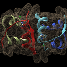 Learn How to Accurately Determine Protein Conformation