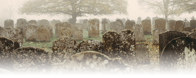 Rows of old, microbe-covered headstones in a misty graveyard with two leafless trees in the background.