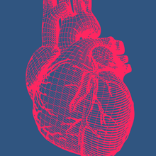 A pink graphic of an anatomical heart.