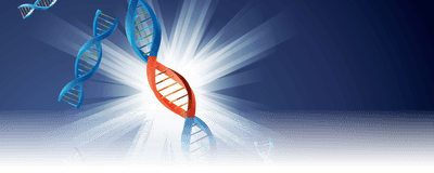 Illustration of a blue piece of DNA with a red segment in its middle on a purple background. Blue and red segments that have been cut out surround the larger strand.