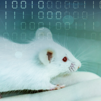 AI mice in labs