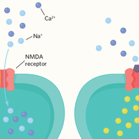 anesthesia infographic the scientist