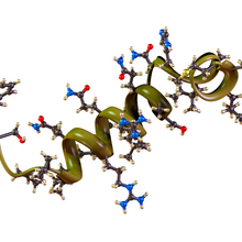 A ball-and-stick plus ribbons molecular model of the hormone orexin, also known as hypocretin, isolated on a white background.