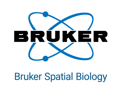 Bruker Logo