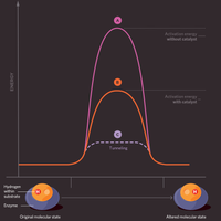 quantum biology infographic