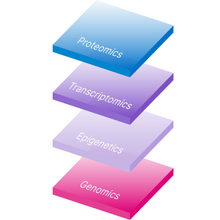 Layered visual representation of multiomics