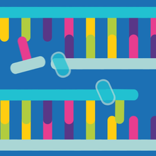 Cartoon rendering of a PCR reaction